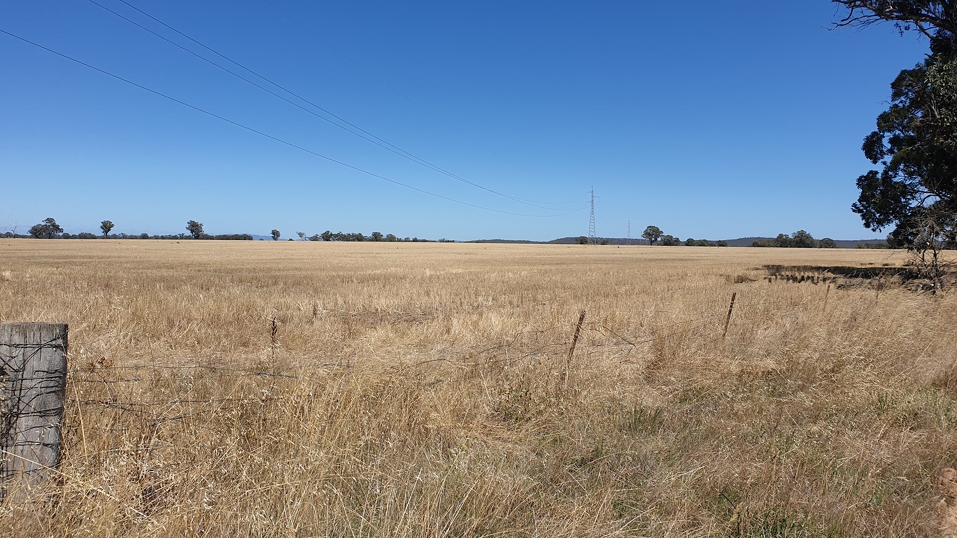 Fosterville Solar Farm